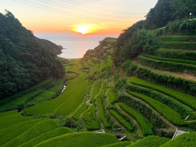 佐賀県の風景：浜野浦の棚田